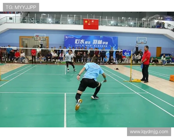 北京羽毛球队实力分析与发展前景探讨聚焦羽毛球运动的未来之路